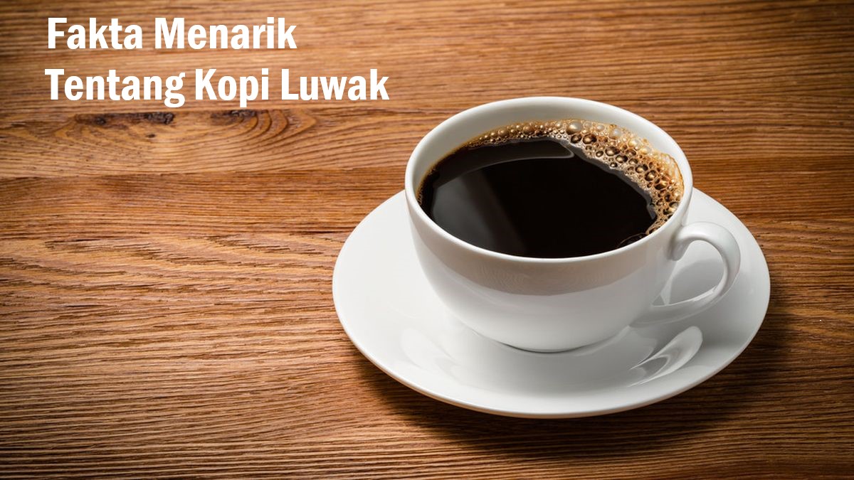 Fakta Menarik Tentang Kopi Luwak!