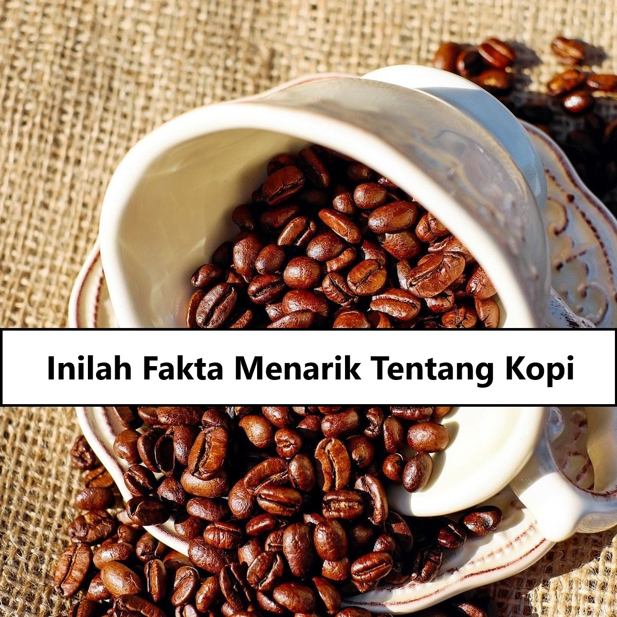 Inilah Fakta Menarik Tentang Kopi